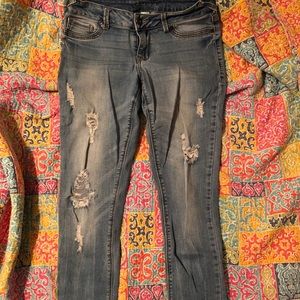 Maurices jeggings